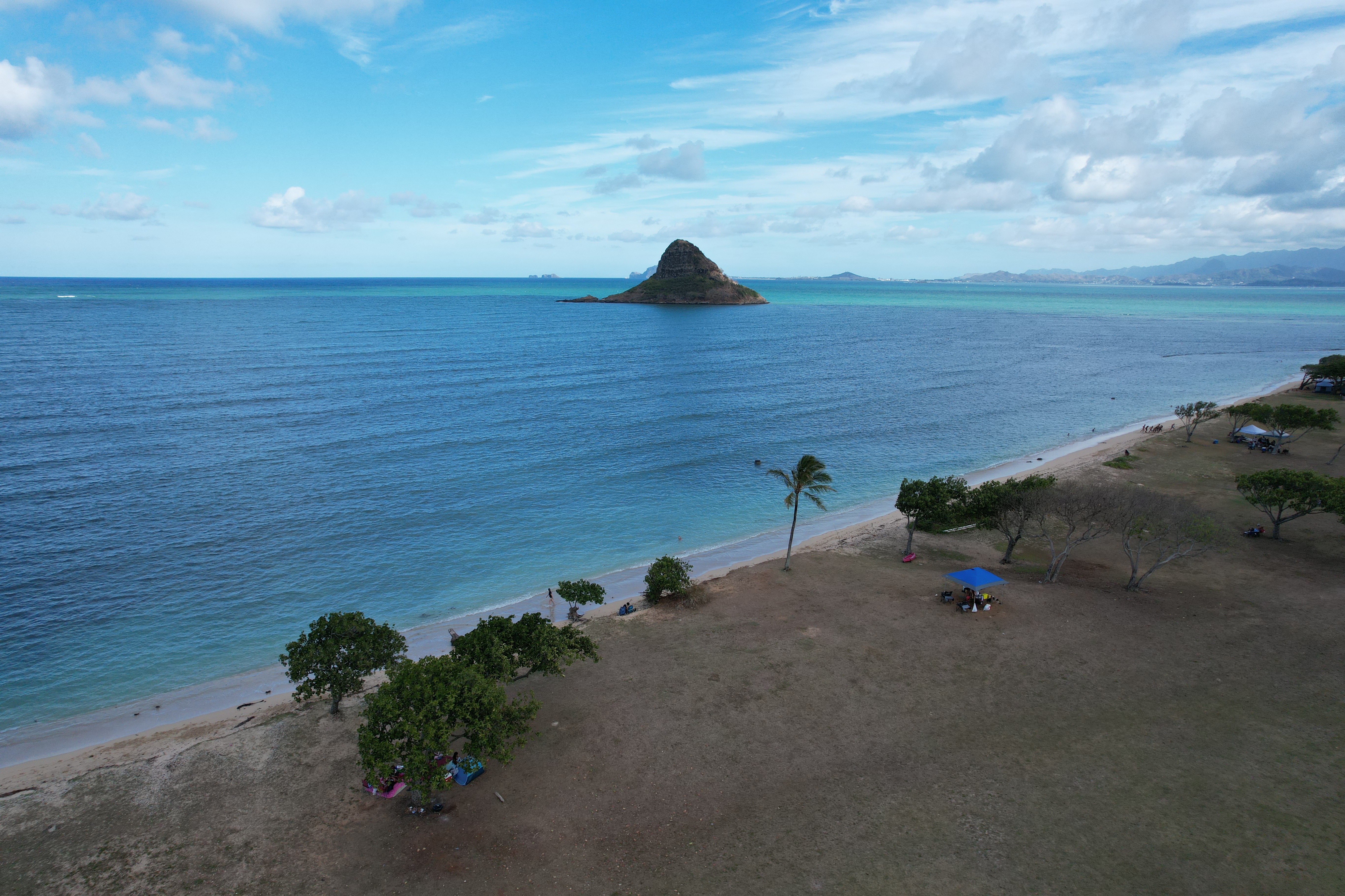 Local service growth system