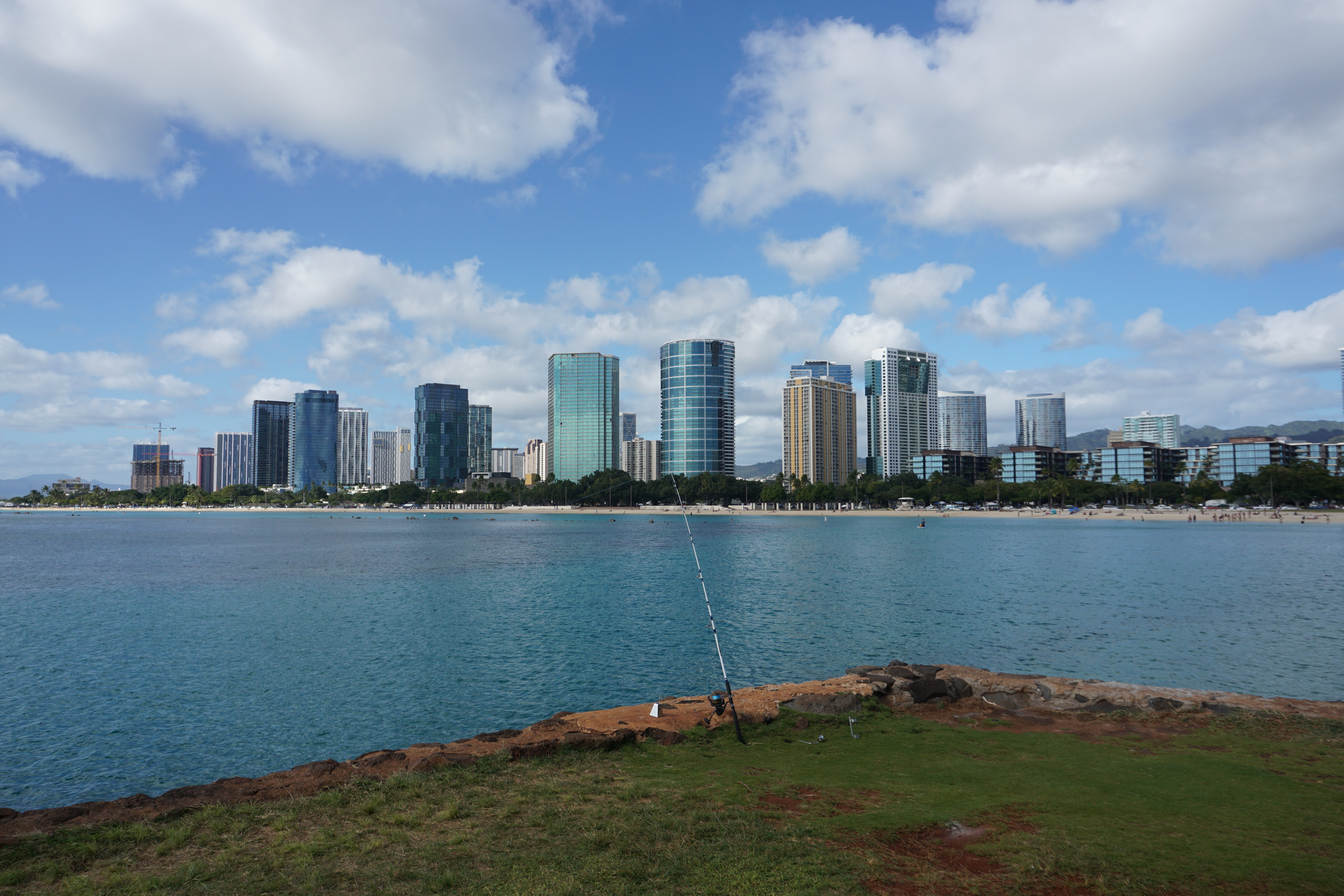 SaaS verification platform system