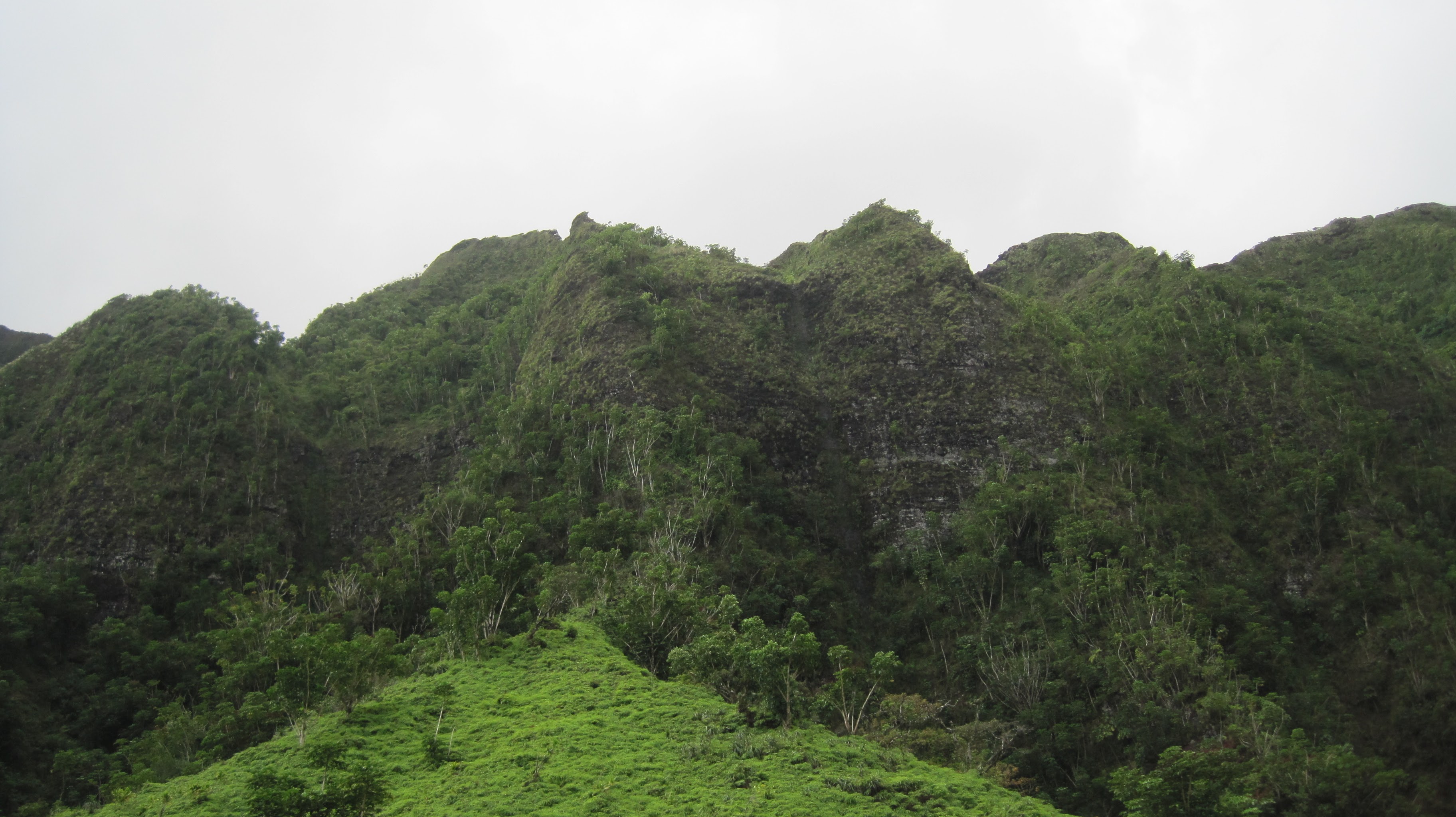 Lush green Ko'olau mountain ridges
