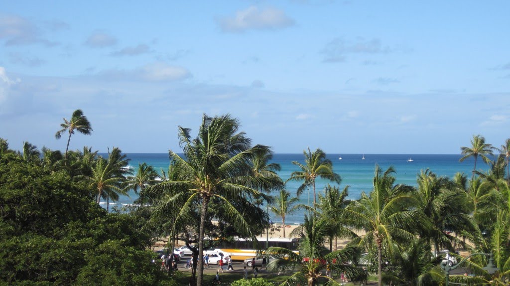 Waikiki beach and palm trees